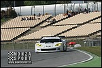 090404pb_bracellona_lms_076.jpg