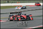 090404pb_bracellona_lms_080.jpg