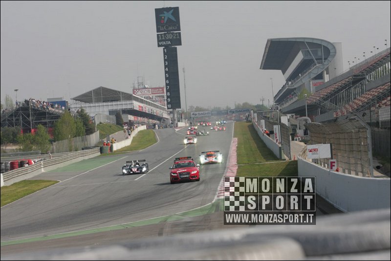 090405pb_bracellona_lms_009.jpg