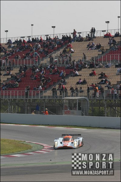 090405pb_bracellona_lms_011.jpg