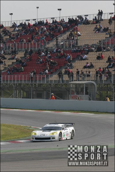090405pb_bracellona_lms_012.jpg