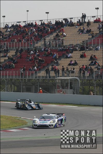 090405pb_bracellona_lms_013.jpg