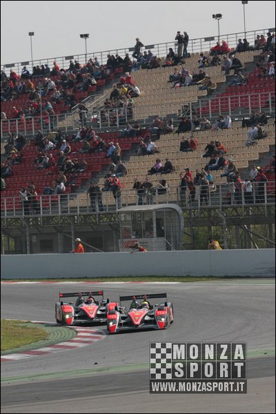 090405pb_bracellona_lms_014.jpg