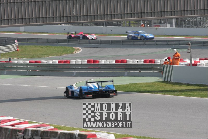 090405pb_bracellona_lms_026.jpg