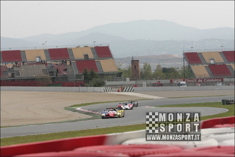 090405pb_bracellona_lms_031.jpg