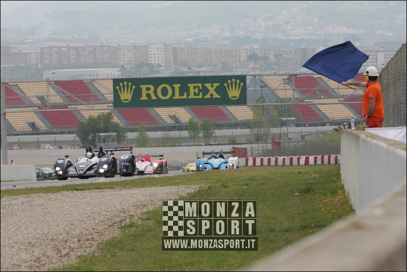 090405pb_bracellona_lms_033.jpg