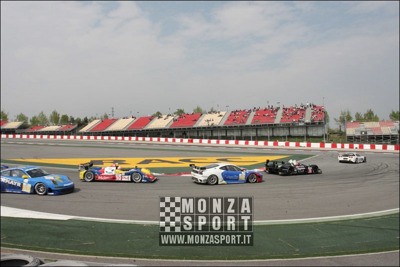 090405pb_bracellona_lms_041.jpg