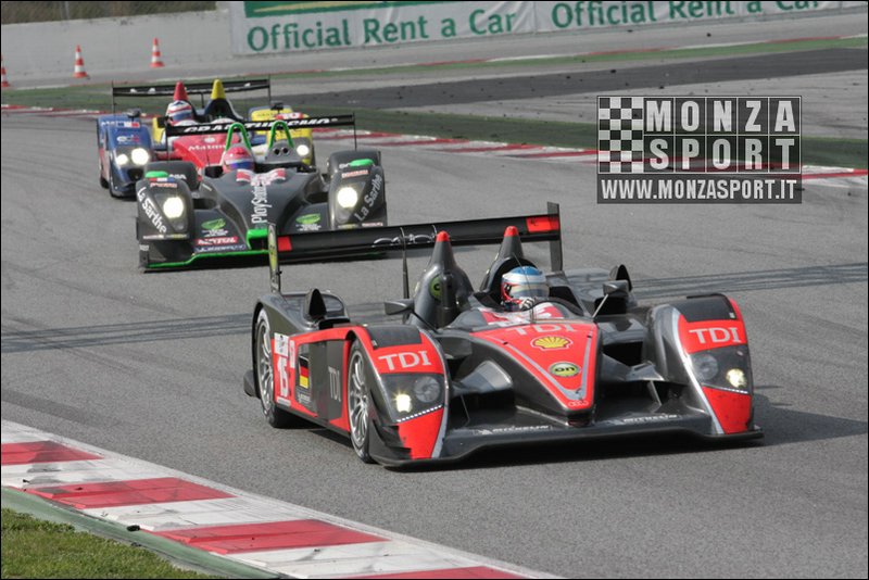 090405pb_bracellona_lms_043.jpg