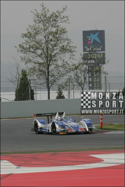 090405pb_bracellona_lms_066.jpg