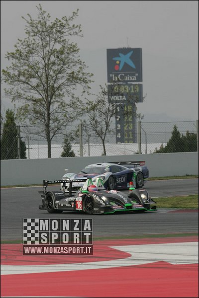 090405pb_bracellona_lms_067.jpg