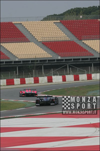 090405pb_bracellona_lms_068.jpg