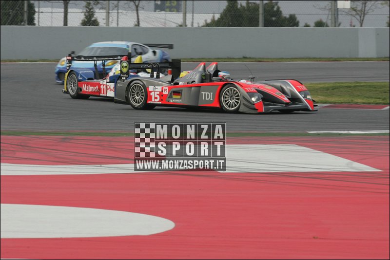 090405pb_bracellona_lms_070.jpg