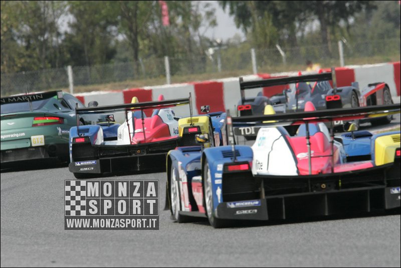 090405pb_bracellona_lms_106.jpg