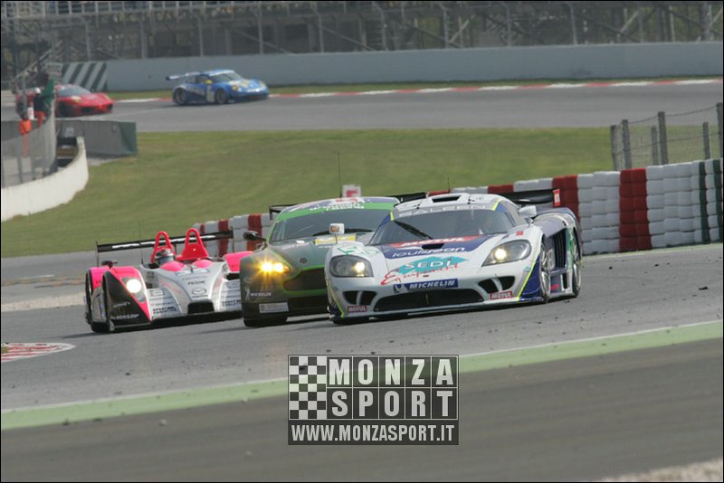 090405pb_bracellona_lms_113.jpg
