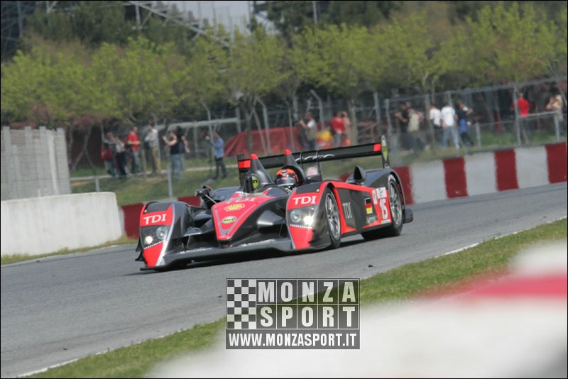 090405pb_bracellona_lms_116.jpg