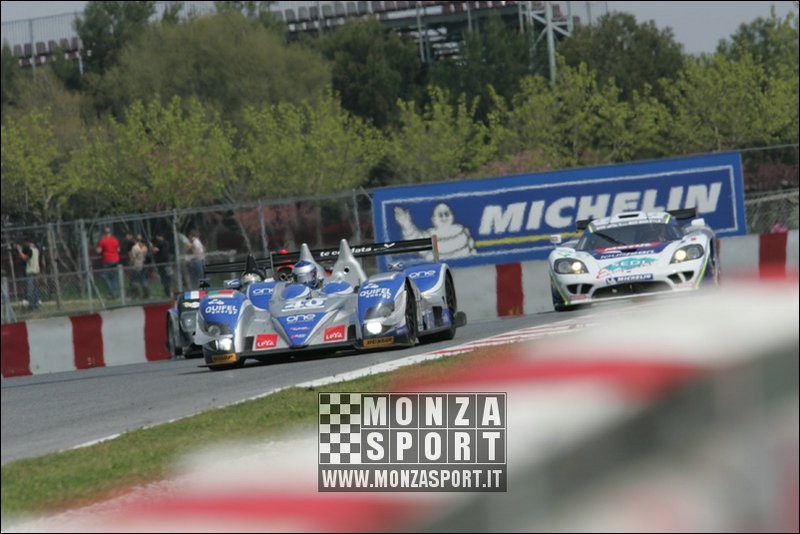 090405pb_bracellona_lms_117.jpg