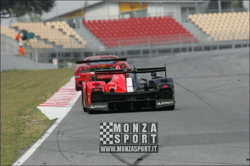 090405pb_bracellona_lms_118.jpg