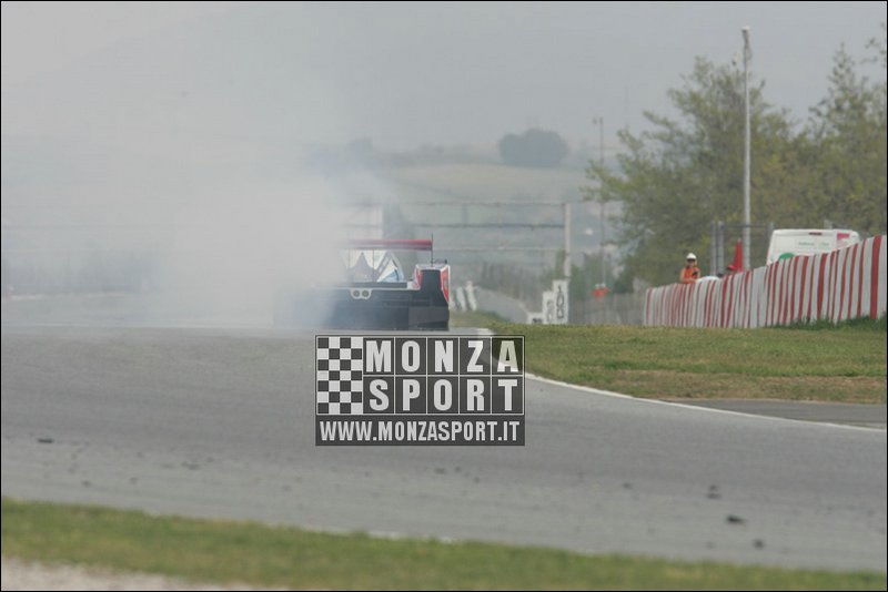 090405pb_bracellona_lms_124.jpg