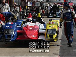 090405pb_bracellona_lms_007.jpg