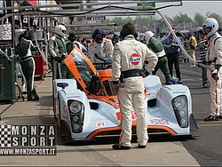 090405pb_bracellona_lms_008.jpg