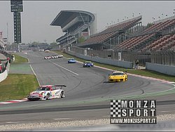 090405pb_bracellona_lms_010.jpg
