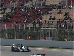 090405pb_bracellona_lms_013.jpg