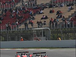 090405pb_bracellona_lms_014.jpg