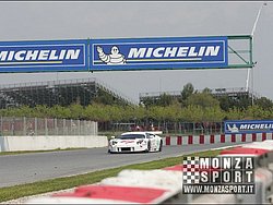 090405pb_bracellona_lms_023.jpg