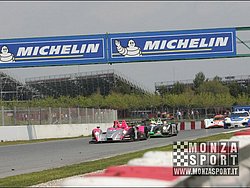 090405pb_bracellona_lms_024.jpg