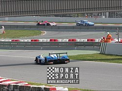 090405pb_bracellona_lms_026.jpg