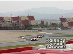 090405pb_bracellona_lms_031.jpg