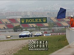090405pb_bracellona_lms_032.jpg