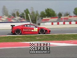 090405pb_bracellona_lms_035.jpg