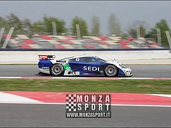 090405pb_bracellona_lms_037.jpg