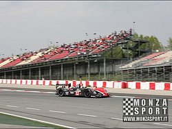090405pb_bracellona_lms_039.jpg