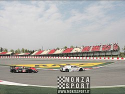 090405pb_bracellona_lms_042.jpg