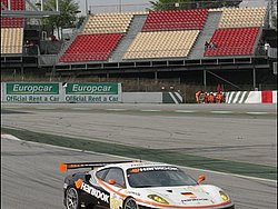 090405pb_bracellona_lms_046.jpg