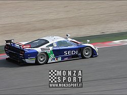 090405pb_bracellona_lms_050.jpg