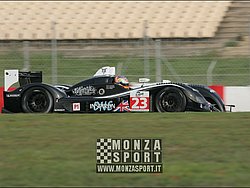 090405pb_bracellona_lms_063.jpg