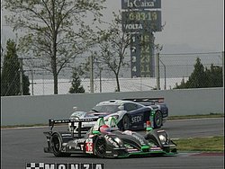 090405pb_bracellona_lms_067.jpg