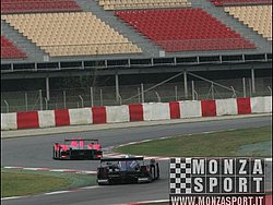 090405pb_bracellona_lms_068.jpg