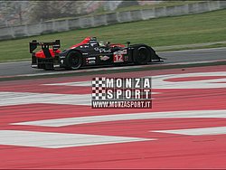 090405pb_bracellona_lms_069.jpg