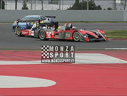 090405pb_bracellona_lms_070.jpg