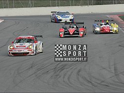 090405pb_bracellona_lms_071.jpg