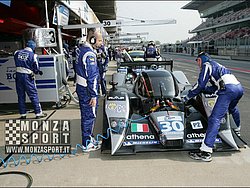 090405pb_bracellona_lms_082.jpg