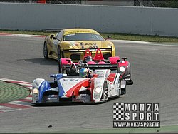 090405pb_bracellona_lms_103.jpg