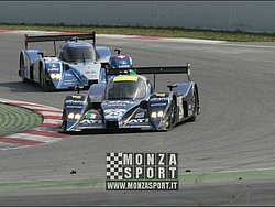 090405pb_bracellona_lms_105.jpg