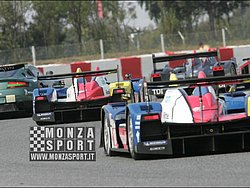 090405pb_bracellona_lms_106.jpg