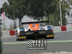 090405pb_bracellona_lms_108.jpg