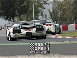 090405pb_bracellona_lms_109.jpg